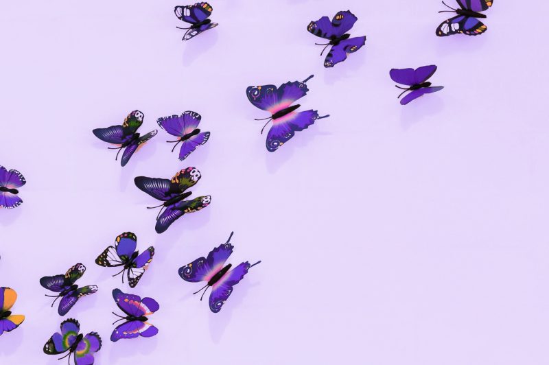 Many purple butterflies on a lavender wall